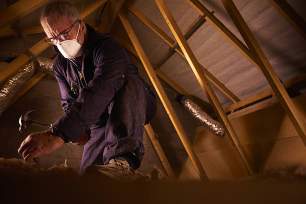 Best Types of Insulation in Day Valley, CA