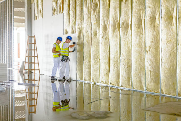 Best Residential Insulation in Day Valley, CA